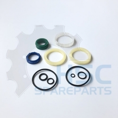 HSC002570PACKET OF SEALS R 424 B09 06